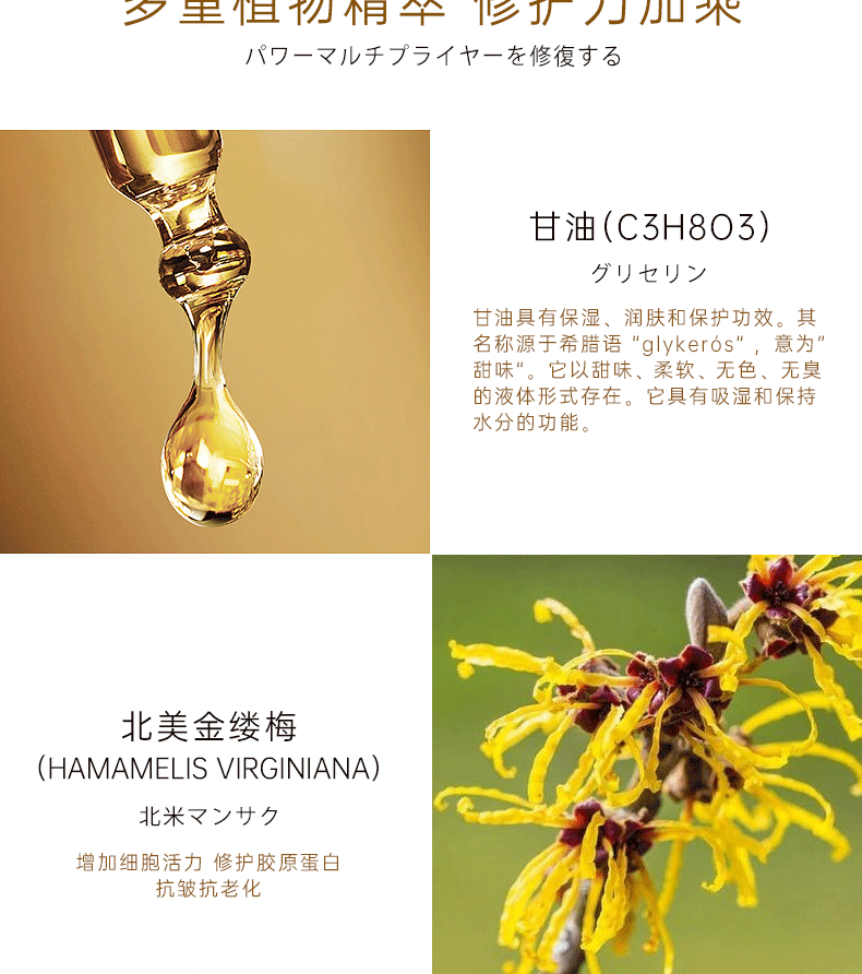 美主人眼霜詳情_(kāi)05.png